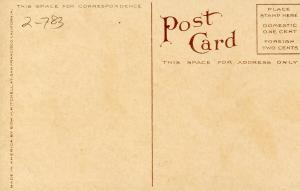 Flowers -   Rainbow Rose                            (Edward H. Mitchell #1973)