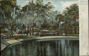 Tampa FL Sulphur Springs c1905 TUCK Postcard