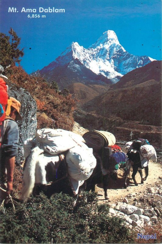 Nepal Mt. Ama Dablam yac carrier postcard 