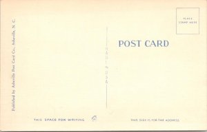 Roanoke, VA Virginia  NEW WASENA BRIDGE  ca1940's Linen Postcard