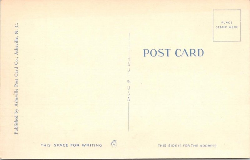 Roanoke, VA Virginia  NEW WASENA BRIDGE  ca1940's Linen Postcard