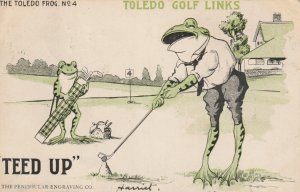1901-06 Rare Toledo Golf Links Frogs Golfing Peninsular Engraving Postcard