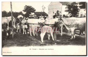 Vichy - Walking cattle - Old Postcard