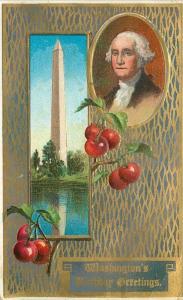 1911 Washington Birthday greeting Postcard Cherry 12560