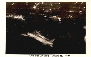 Postcard Real Photo Fly Fishing in Water at Night Catalina Island RPPC