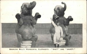 Circus Elephants Broncho Bill's SALT & SAUCY Publ Wolverhampton c1905 Postcard