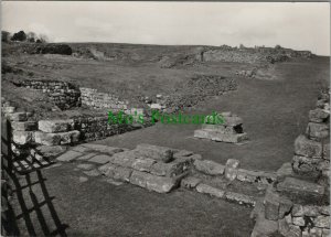 Northumberland Postcard - The South Gate Housesteads Roman Fort  RR13779