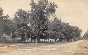 Rockton Illinois~Residence Street~Lots of Trees Along Road~c1910 Childs RPPC