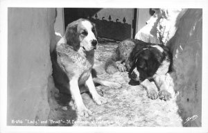Timberline Lodge Oregon 1940s RPPC Real Photo Postcard St. Bernards