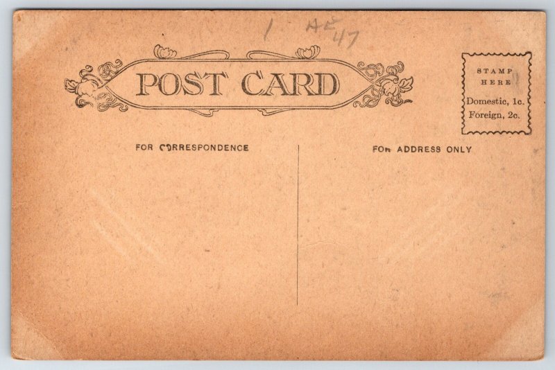 Dayton Ohio~Bed Room Curtains~Oldest House~b1796 Newcom Log Tavern~1908