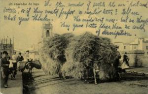 spain, SEVILLA (?), Un Vendedor de Baja, Straw Seller, Overloaded Donkey (1910s)