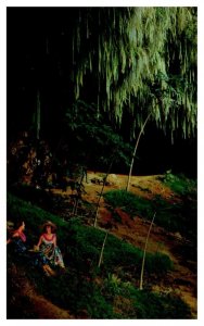 Fern Grotto on the Wailua River Kauai Hawaii Postcard