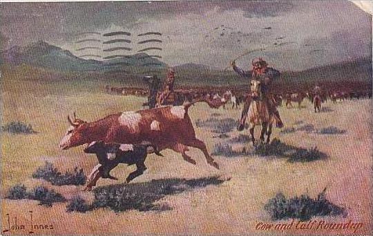 John Innes Ranching Series  Cow and Calf Roundup  1907