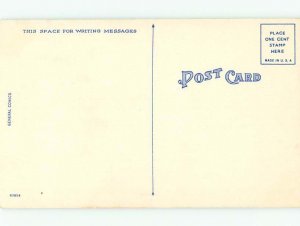 Linen Comic CHUBBY FAT WOMAN LOOKING AT ELEPHANT AC6961