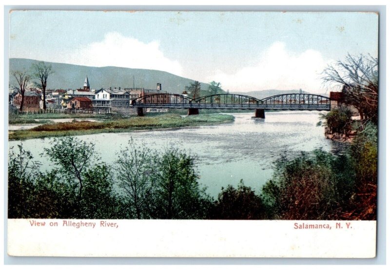 c1905 View on Allegheny River Salamanca New York NY Vintage Unposted Postcard 