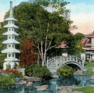 C.1910 Hawaii & South Seas Curio Moanalua Tea Gardens, Honolulu Postcard P183