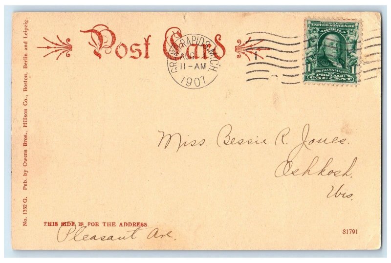 1907 Grand River Trees Below Grand Rapids Michigan MI Posted Vintage Postcard