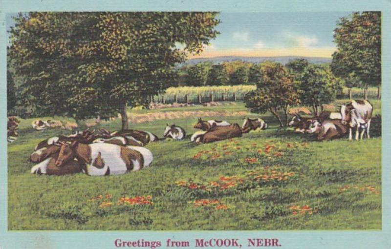 Nebraska Greetings From McCook 1954