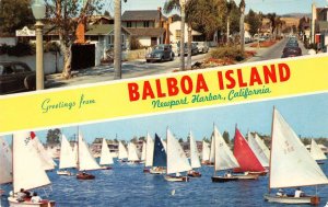 California CA   BALBOA ISLAND  Park Avenue~Snowbird Fleet Sailboats  Postcard