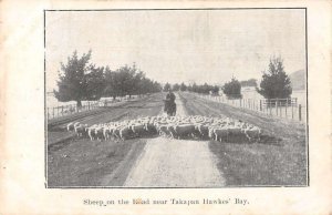 Takapau New Zealand Hawkes Bay Sheep Vintage Postcard AA41454