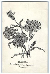c1905 Hand Drawn Printed Art Carnation By George E Hummel Antique Postcard
