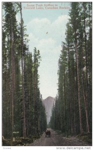 CANADA, PU-1910; Snow Peak Avenue To Emerald Lake, Canadian Rockies