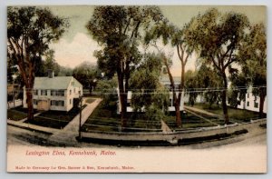 Kennebunk ME Lexington Elms Maine c1906 Postcard A39