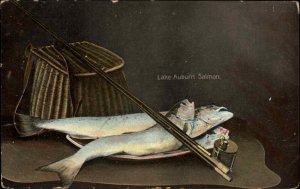 Lake Auburn Maine ME Salmon Fishing Rod Fishing Catch c1910 Vintage Postcard