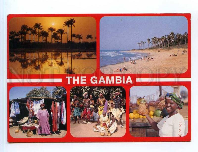 250879 WEST AFRICA GAMBIA multi-views collage RPPC to SWEDEN