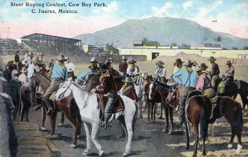 Steer Roping Contest Cowboy Park JUAREZ Ciudad Antique Rodeo Postcard 1910s