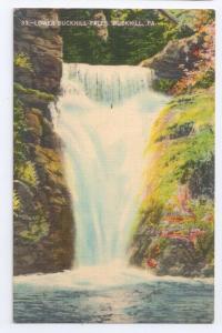 Lower Buckhill Falls Buck Hill PA 1948 Linen Waterfalls