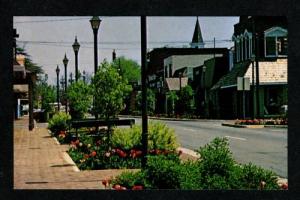 GA Downtown Carroll Street St PERRY GEORGIA PC Postcard