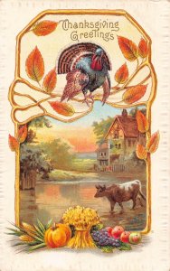 Thanksgiving Greetings Turkey Autumn Leaf Cattle Harvest embossed postcard B988