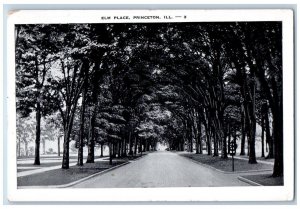 Princeton Illinois IL Postcard Elm Place Street Scene Tree Lined c1930's Vintage