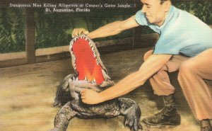 Vintage Postcard Dangerous Man Killing Alligators Casper's Gator Jungle Florida