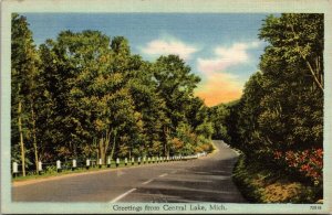 Scenic View, Greetings from Central Lake MI Vintage Postcard Q49