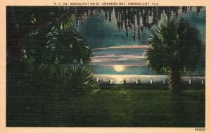 Vintage Postcard Moonlight on Street Andrews Bay Scene Panama City Florida Fla.