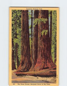 Postcard The Three Graces, Yosemite National Park, Fish Camp, California