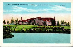 Vtg 1920s Museum of Natural History Chickasaw Gardens Memphis TN Postcard