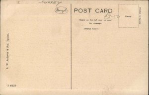 Epsom Surrey West Street 1900 -1920s Vintage Postcard