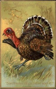 Tuck Thanksgiving Day Turkey Running Beat It c1910 Vintage Postcard