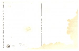 Cats  Outdoor Dance Party   Alfred Mainzer no. 4973