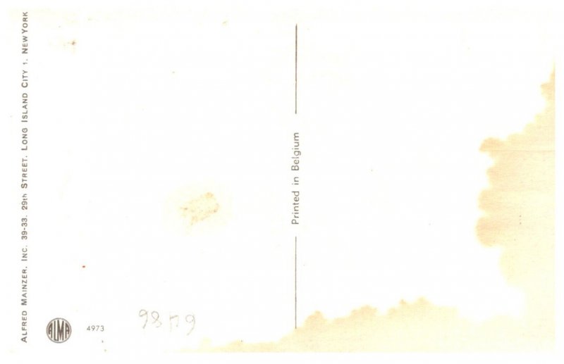 Cats  Outdoor Dance Party   Alfred Mainzer no. 4973