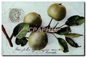 Old Postcard Fantasy Still Life Apples
