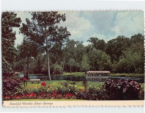 Postcard Beautiful Florida's Silver Springs, Florida