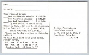 Florida Valencia Oranges, Vintage Chrome Postcard