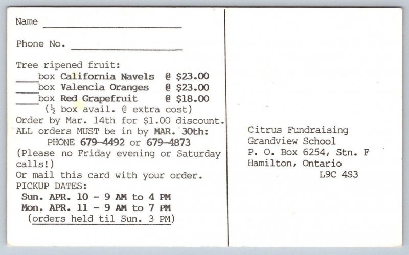 Florida Valencia Oranges, Vintage Chrome Postcard