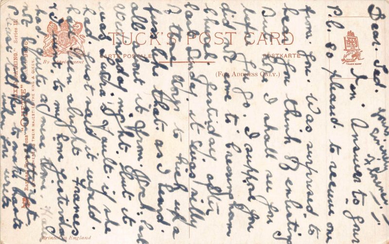 Fantasy Humanized Donkeys at Beach Mixed Bathing Anthropomorphic postcard  B927