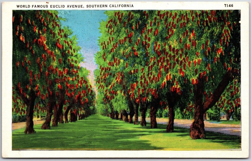 Upland California CA, World Famous Euclid Avenue, Pepper Trees, Vintage Postcard