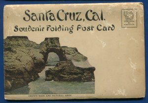 Santa Cruz County Big Trees Park California ca Postcard Folder #2 
